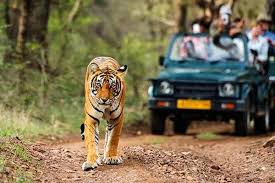 Pench Tiger Reserve
