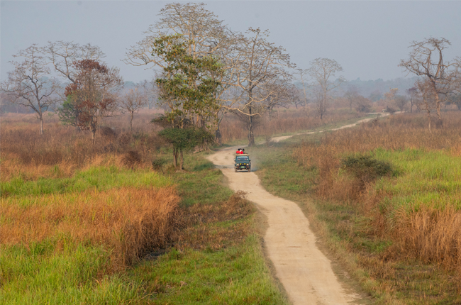 Kaziranga