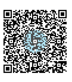 UPI QR Code