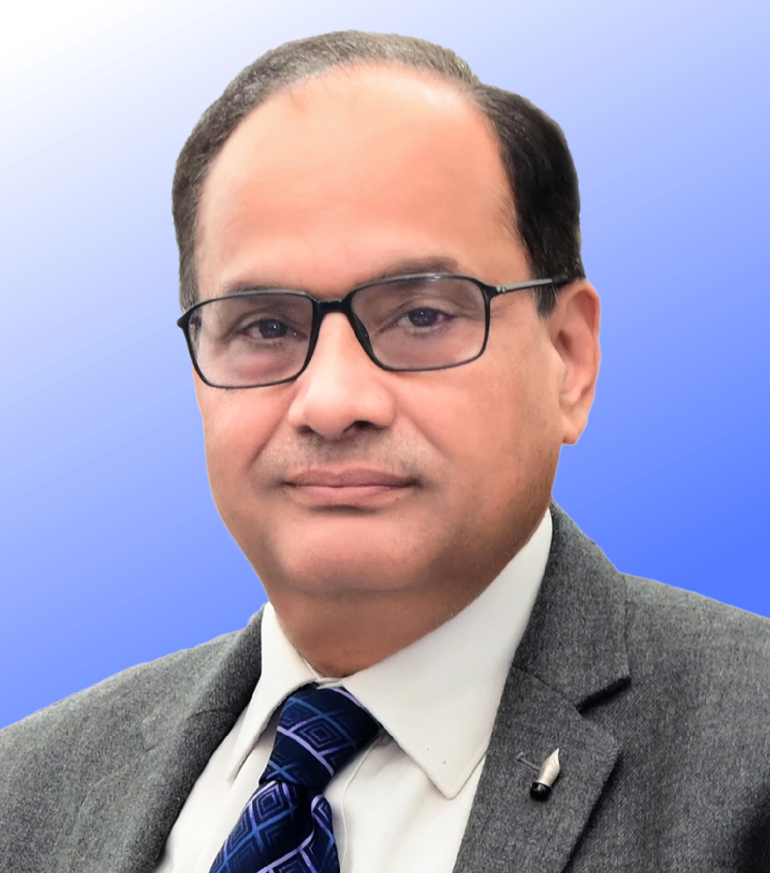 Prof. K K Pant
